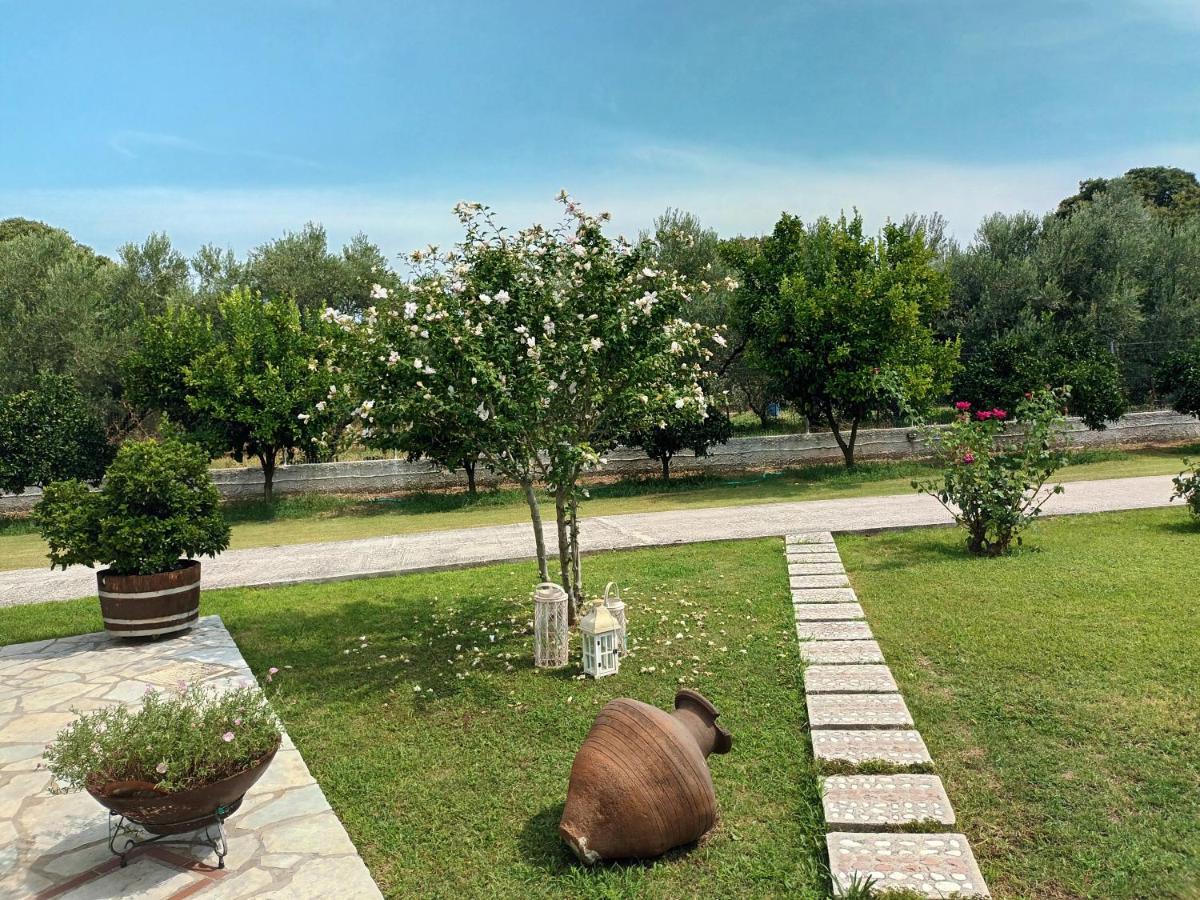 Vila Zenia Pelion Garden House Platanidia Exteriér fotografie