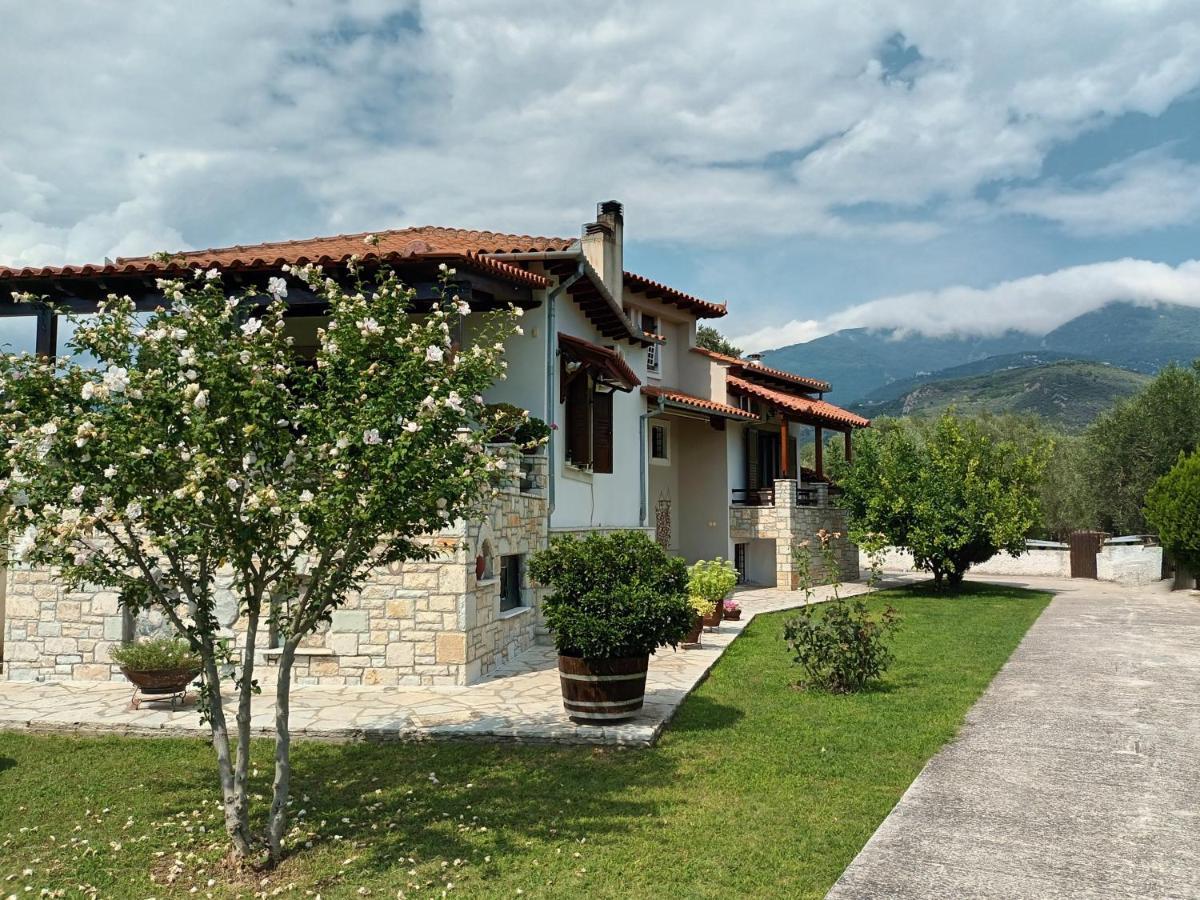 Vila Zenia Pelion Garden House Platanidia Exteriér fotografie
